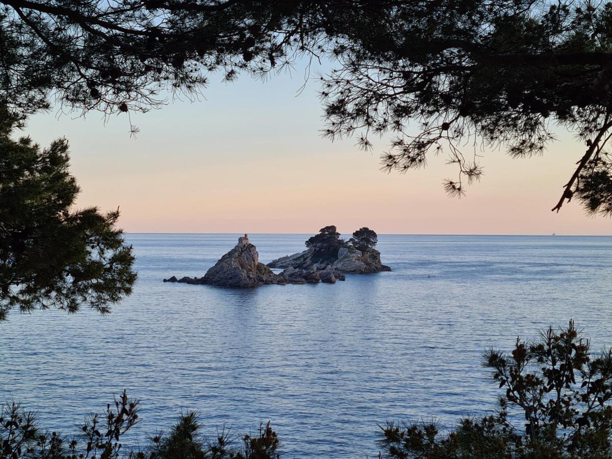 Palm Point Apartment Petrovac Exteriér fotografie