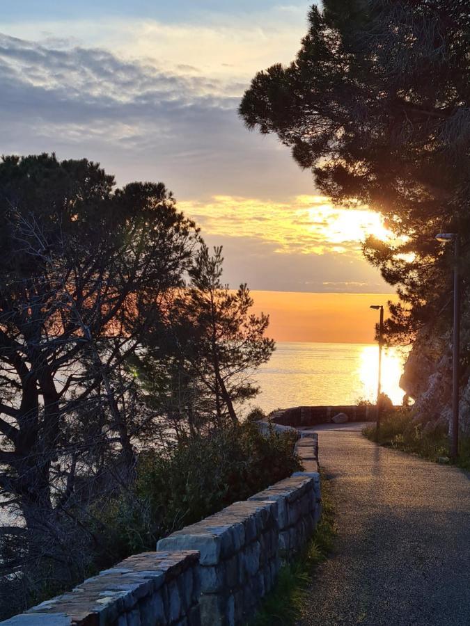 Palm Point Apartment Petrovac Exteriér fotografie