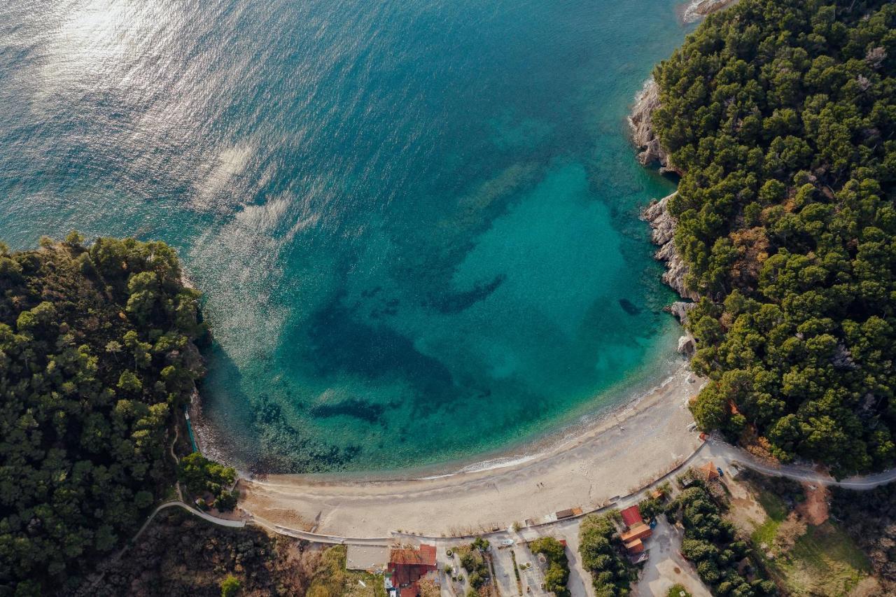Palm Point Apartment Petrovac Exteriér fotografie